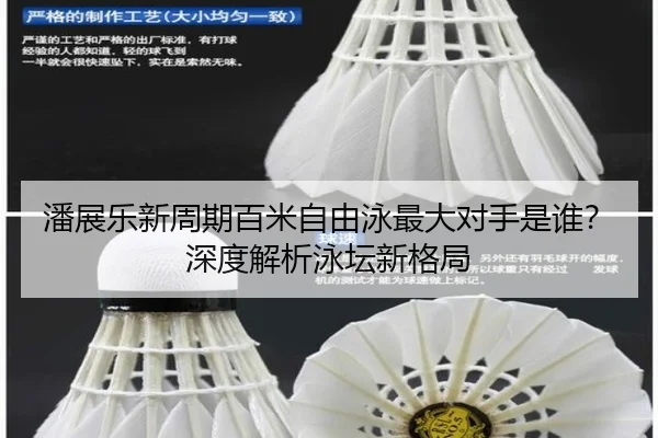潘展乐新周期百米自由泳最大对手是谁？深度解析泳坛新格局